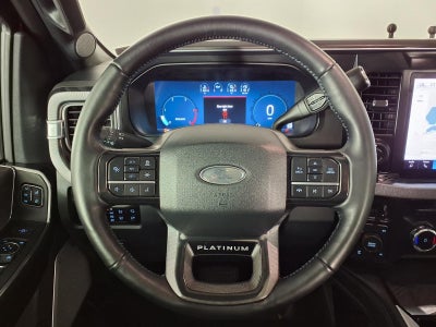 2025 Ford F-250SD Platinum KRIETZ CUSTOMS EDITION