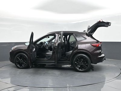 2023 Ford Escape ST-Line Elite